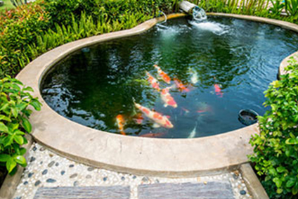 Toepassing_Tuin_Vijver
